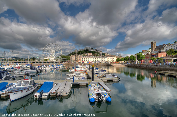 The Big Wheel and reflections  at Torquay Harbour  Picture Board by Rosie Spooner