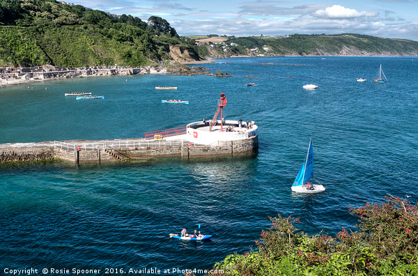 Boats around the Banjo pier at Looe Picture Board by Rosie Spooner