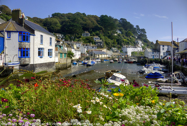 The River Pol at Polperro at low tide Picture Board by Rosie Spooner