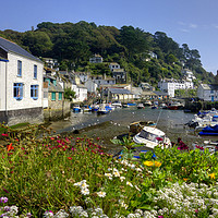 Buy canvas prints of The River Pol at Polperro at low tide by Rosie Spooner
