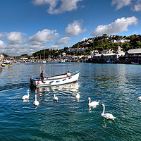 Buy canvas prints of Swans follow the ferryman on the River Looe by Rosie Spooner