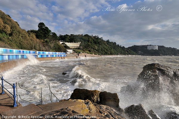 Rough Sea at Meadfoot Beach Torquay Picture Board by Rosie Spooner