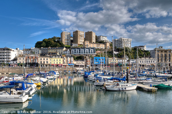 Torquay Harbour Reflections Picture Board by Rosie Spooner