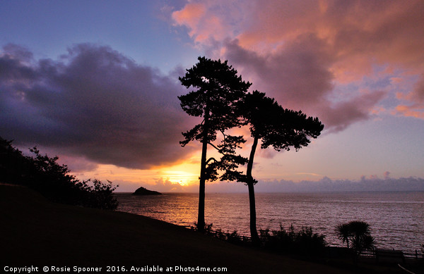 Sunrise at Meadfoot Beach Torquay Picture Board by Rosie Spooner