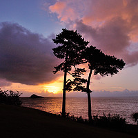 Buy canvas prints of Sunrise at Meadfoot Beach Torquay by Rosie Spooner