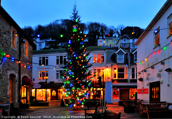 Christmas Tree in Looe Cornwall Picture Board by Rosie Spooner