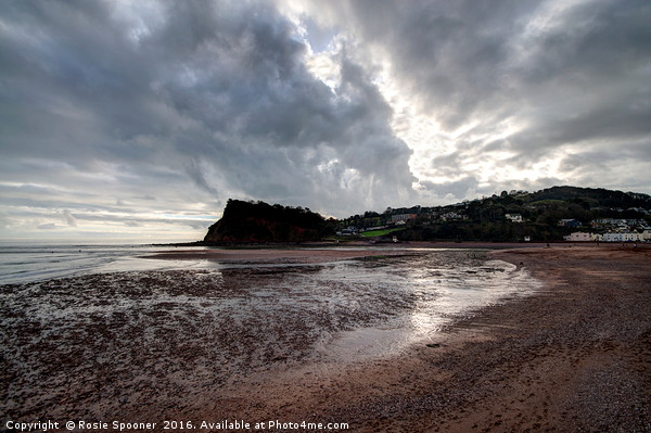 Low Tide looking towards The Ness Headland Shaldon Picture Board by Rosie Spooner