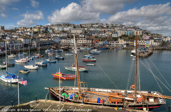 Brixham Harbour View and sailing trawler Picture Board by Rosie Spooner