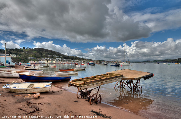 The old boat launch on Teignmouth Back Beach  Picture Board by Rosie Spooner