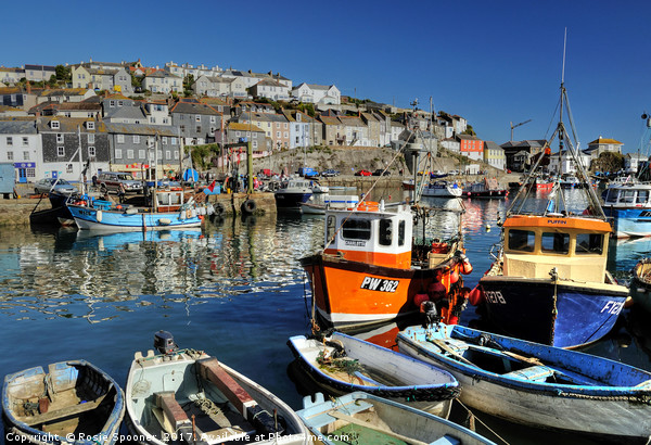 Colourful boats at Mevagissey Picture Board by Rosie Spooner