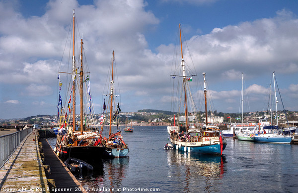 Tall Ships and Small Ships at Torquay Harbour Picture Board by Rosie Spooner