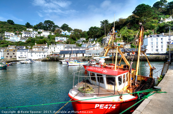 Fishing boats at Polperro Harbour  Picture Board by Rosie Spooner