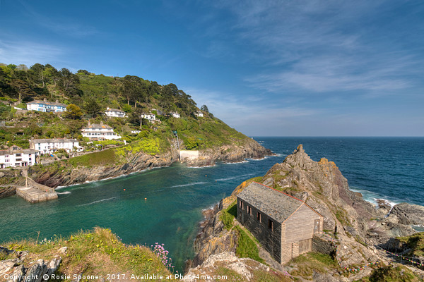 The Old Boat House Polperro on the Coast Path Picture Board by Rosie Spooner
