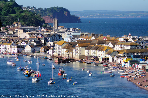 Teignmouth Back Beach and Town viewed from Shaldon Picture Board by Rosie Spooner