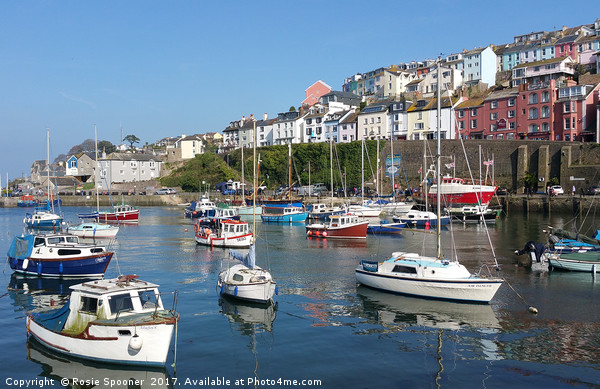 Colourful boats and houses at Brixham Harbour Picture Board by Rosie Spooner