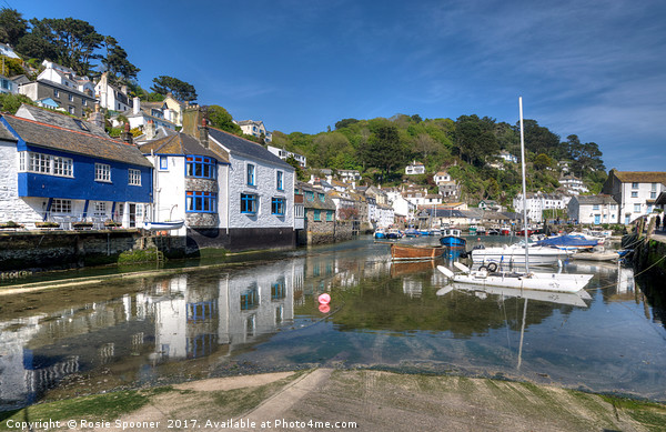 The River Pol at Polperro as the tide comes in Picture Board by Rosie Spooner