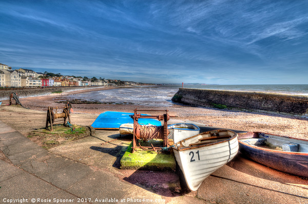 Boat Cove at Dawlish in South Devon Picture Board by Rosie Spooner