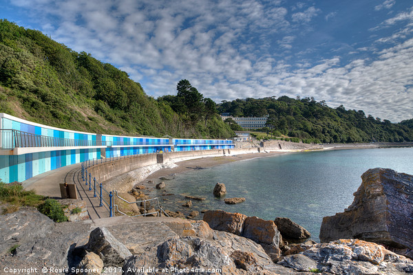 Meadfoot Beach Chalets and Osborne Hotel Torquay Picture Board by Rosie Spooner