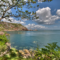 Buy canvas prints of Ansteys Cove and Long Quarry Point Torquay by Rosie Spooner