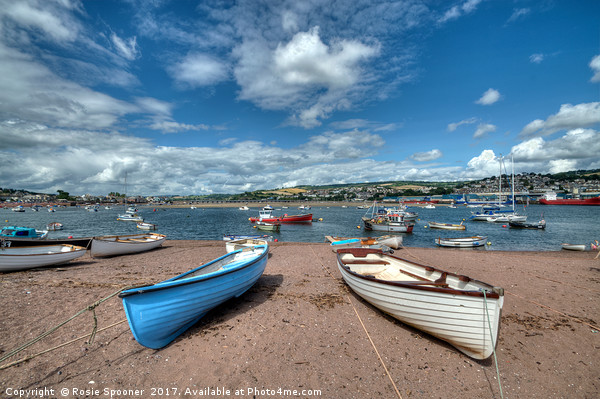 Teignmouth Back Beach on The River Teign  Picture Board by Rosie Spooner