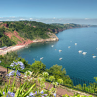 Buy canvas prints of Busy day in Babbacombe Bay and Oddicombe  Beach  by Rosie Spooner