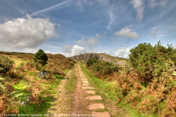 The old railway track leading up to Stowes Hill Picture Board by Rosie Spooner