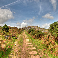 Buy canvas prints of The old railway track leading up to Stowes Hill by Rosie Spooner