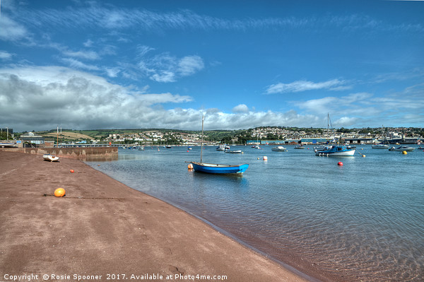 Peaceful view of  Shaldon Beach on The River Teign Picture Board by Rosie Spooner