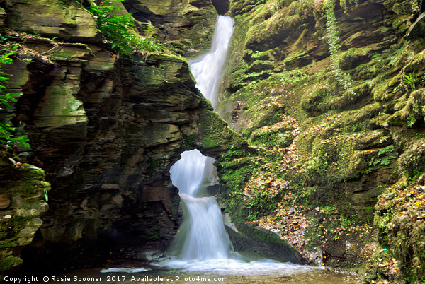 St Nectans Glen Waterfall at Thethevy nearTintagel Picture Board by Rosie Spooner
