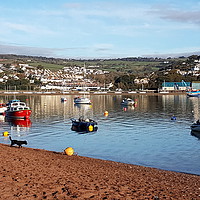Buy canvas prints of Bright sunny morning on the River Teign at Shaldon by Rosie Spooner