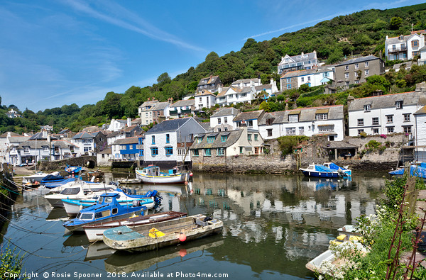 Colourful boats and houses at Polperro Harbour Picture Board by Rosie Spooner
