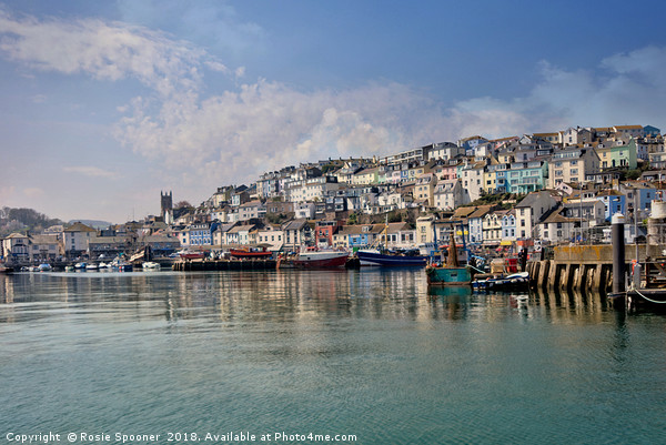 Peaceful morning at Brixham Harbour Picture Board by Rosie Spooner