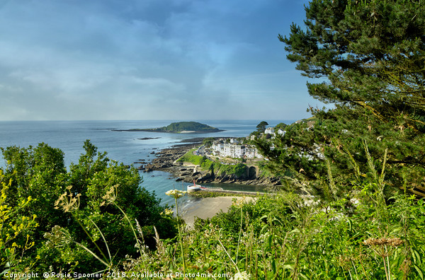 View of The Looe island and The Banjo Pier  Picture Board by Rosie Spooner