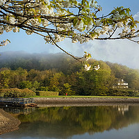 Buy canvas prints of Misty springtime morning at the Millpool in Looe by Rosie Spooner