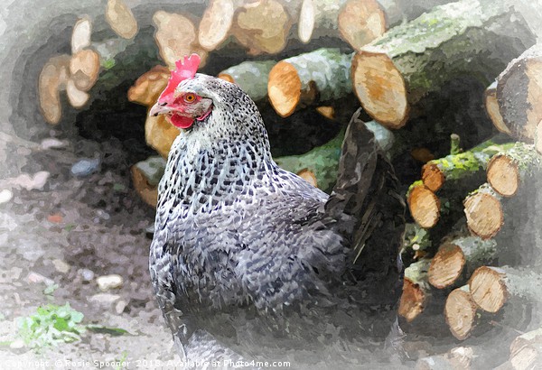 Chicken by the Woodpile Picture Board by Rosie Spooner