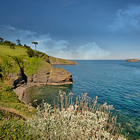 Buy canvas prints of Orestone Rock view from Thatcher Point Torquay by Rosie Spooner
