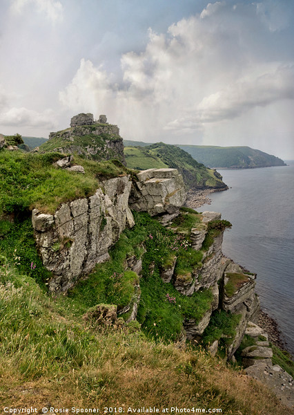 Valley of the Rocks at in North Devon near Lynton Picture Board by Rosie Spooner