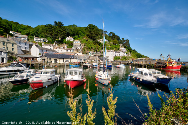 Colourful boats at Polperro Harbour Picture Board by Rosie Spooner