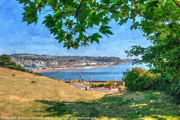 View from Shaldon towards Teignmouth  Picture Board by Rosie Spooner