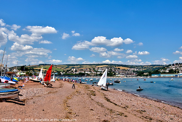 Busy day on Shaldon Beach by The River Teign Picture Board by Rosie Spooner