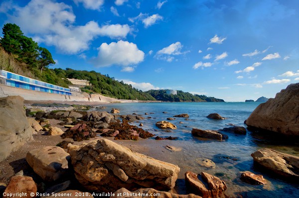 Meadfoot Beach Torquay at Low Tide  Picture Board by Rosie Spooner