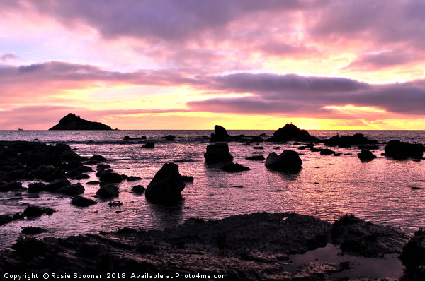 Low tide sunrise at Meadfoot Beach in Torquay Picture Board by Rosie Spooner