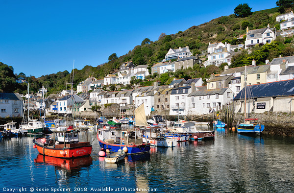 Colourful boats and houses at Polperro Harbour  Picture Board by Rosie Spooner