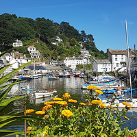 Buy canvas prints of Summer view of Polperro in South East Cornwall by Rosie Spooner