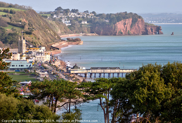 View of Teignmouth and The Parson and Clerk Rocks  Picture Board by Rosie Spooner
