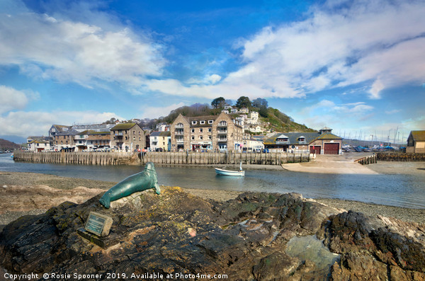 View of Nelson the seal across The River Looe  Picture Board by Rosie Spooner