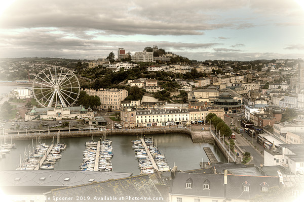 Looking down on Torquay Harbour and Town Picture Board by Rosie Spooner