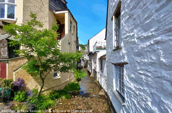 The River Pol flowing through Polperro in Cornwall Picture Board by Rosie Spooner