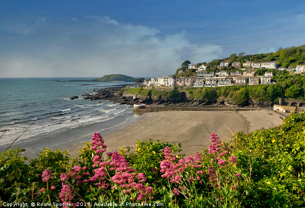 Coast path view of Looe Beach and Looe island.  Picture Board by Rosie Spooner