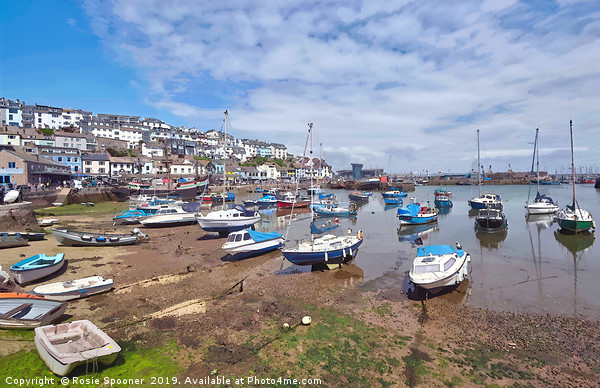 Brixham Harbour at low tide Picture Board by Rosie Spooner